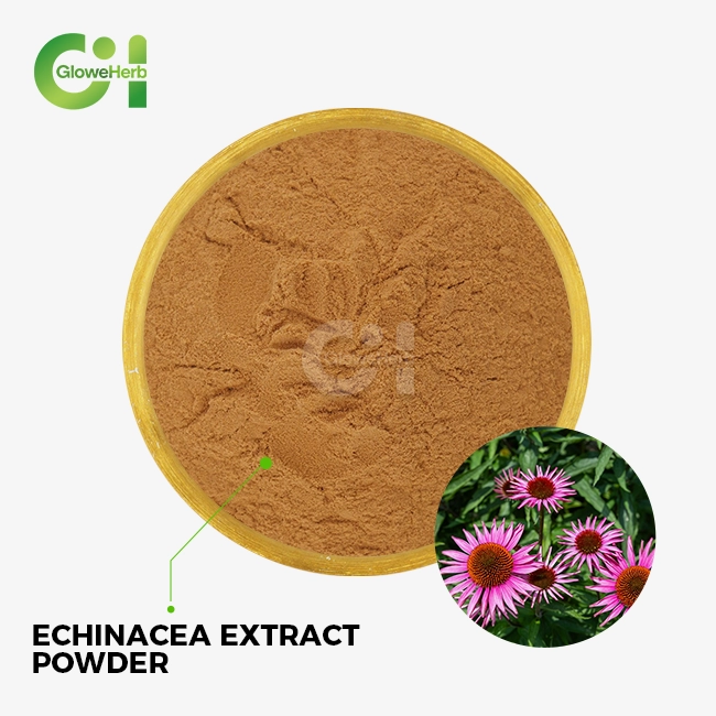 echinacea extract powder echinacea extract powder